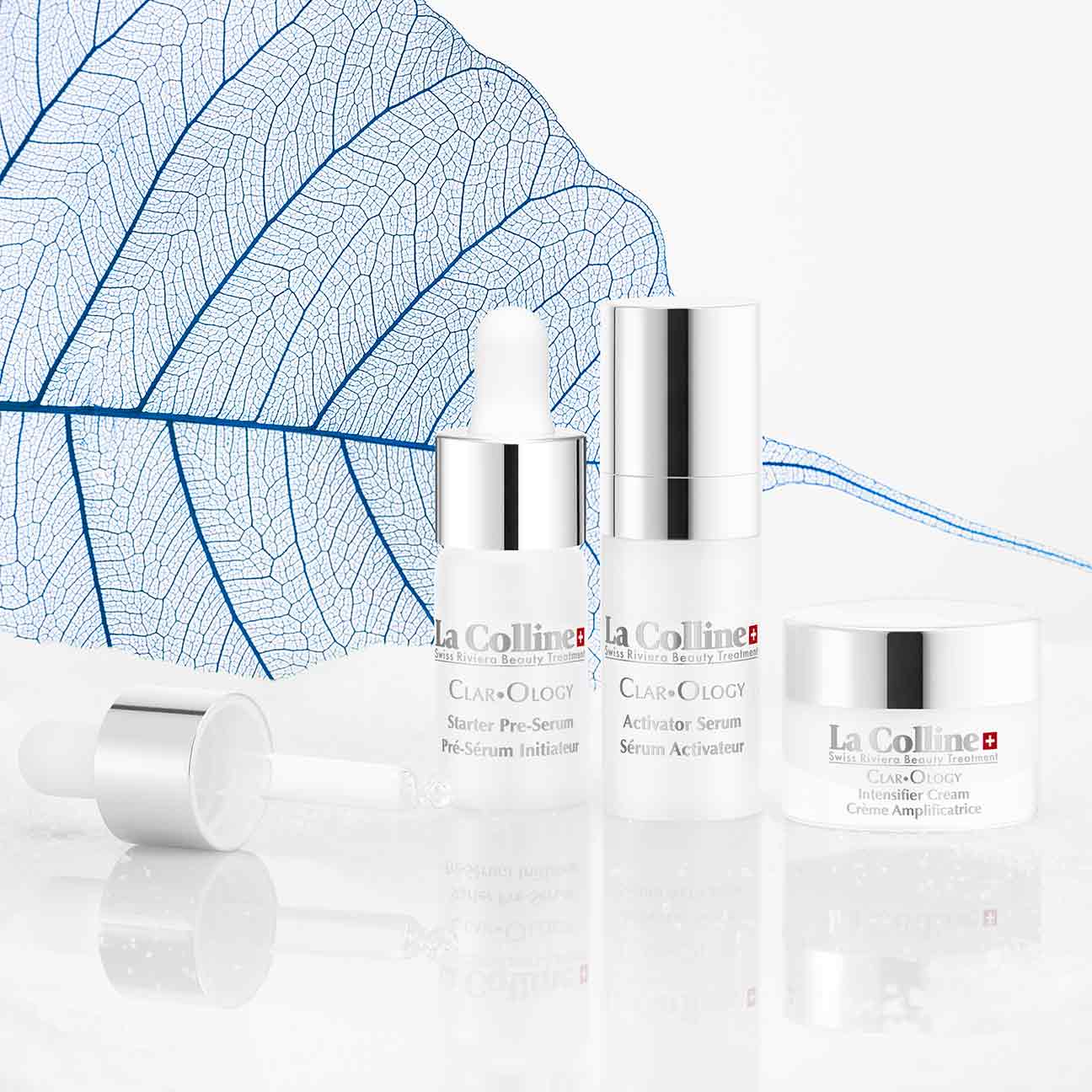 Programme Illuminateur Intense