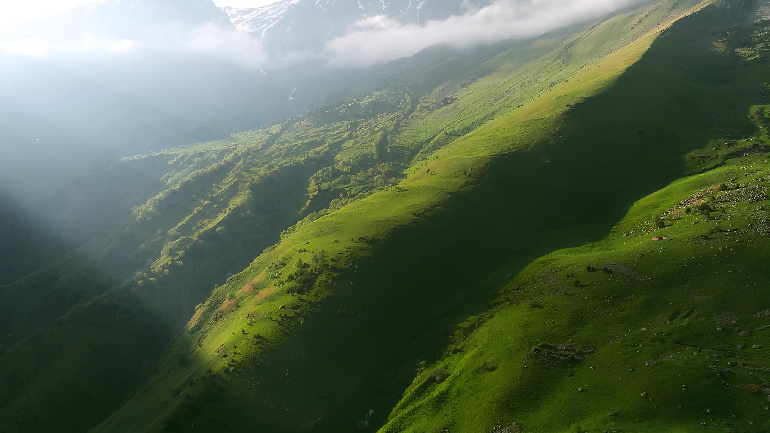 landscape bg image