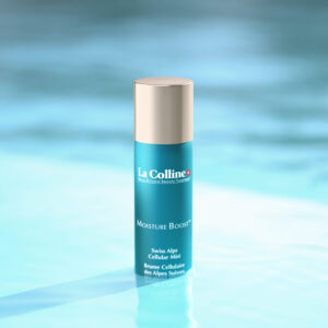 Swiss Alps Cellular Mist - Image 4